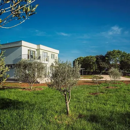 Tatil Evi House Bellissima Vodnjan