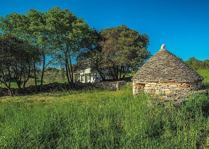 度假居 House Bellissima 沃德年